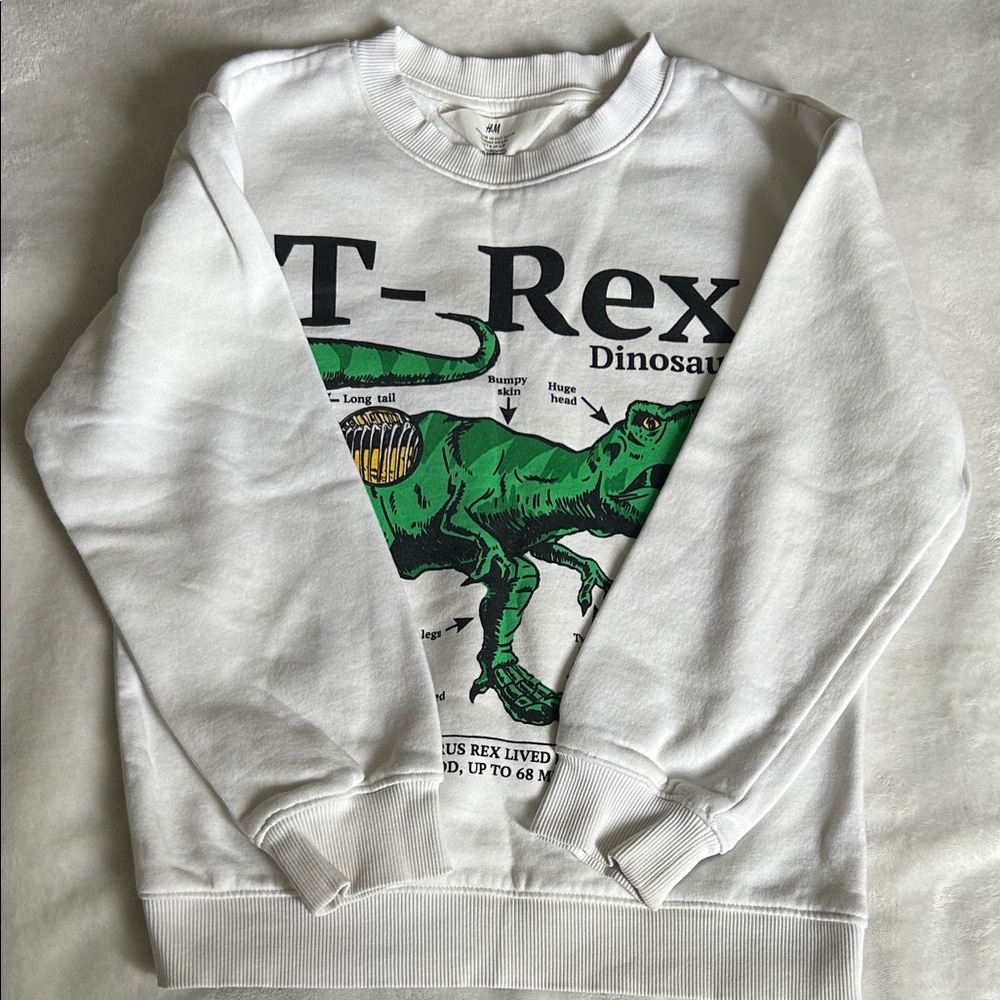 6-8 years H&M White Kids Sweatshirt with Green T-Rex Print